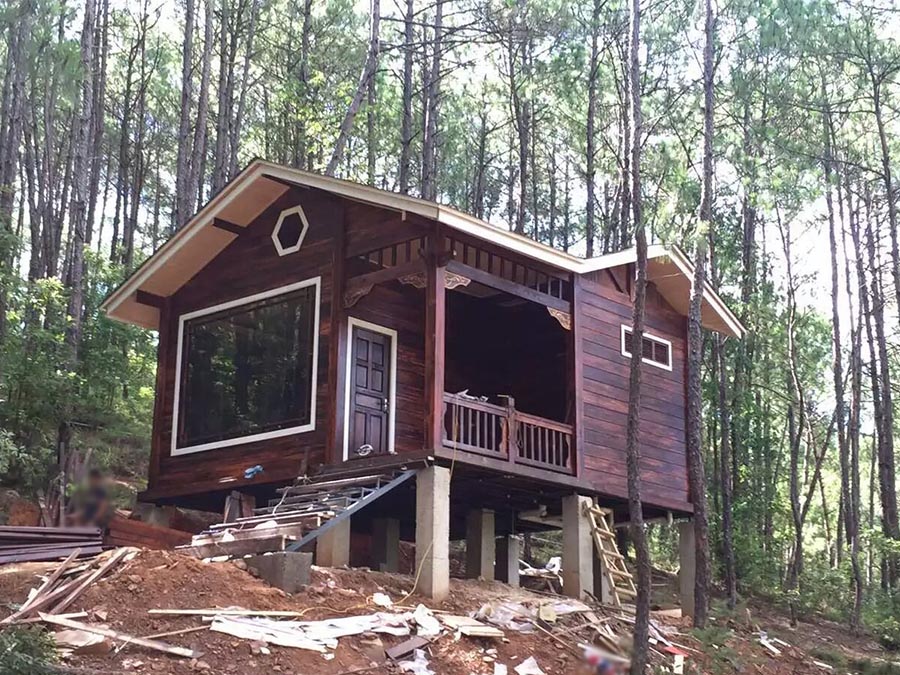 Tree-Integrated Small Wooden House Offers Immersive Forest Experience